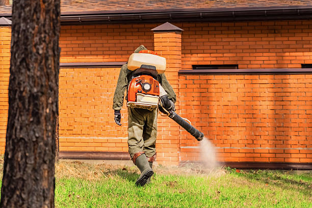 Trusted Cockroach Control service in Edgecliff Village, TX - Nex Pest Control